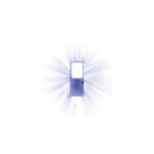 欧洲美女与动交zoz0z最新章节
